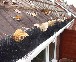 gutter protection