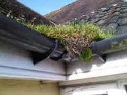 gutter repair and clean